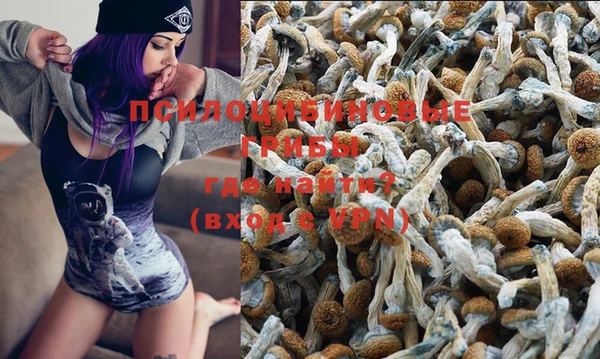 прущий лед Аркадак