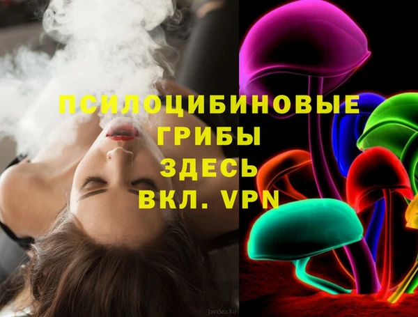 винт Армянск