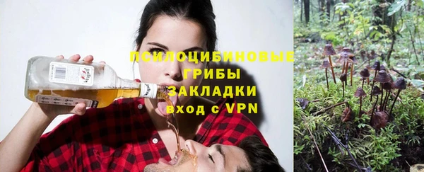 прущий лед Аркадак