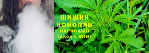 ГАЛЛЮЦИНОГЕННЫЕ ГРИБЫ Алексин